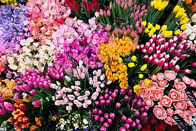 未来游戏展：太空物流新作《星际卡车司机》预告片